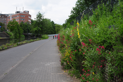 809579 Gezicht op het fietspad door het Griftpark te Utrecht, met rechts de vegetatiemuur met bloeiende planten.